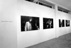 \'Forest Fears\' installation, The Spitz Gallery, London, 2001